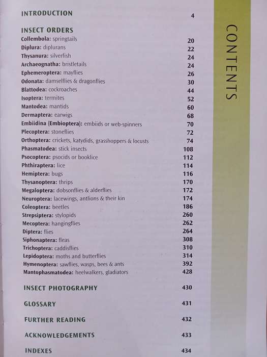Field Guide to Insects of South Africa