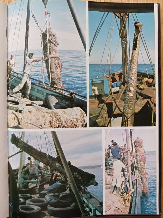The Guns of Sacramento by Geoffrey & David Allen