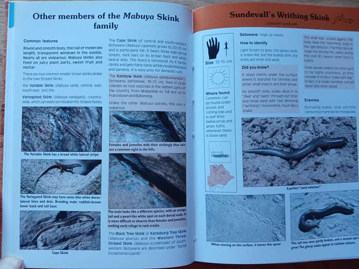 Common Amphibians and Reptiles of Botswana