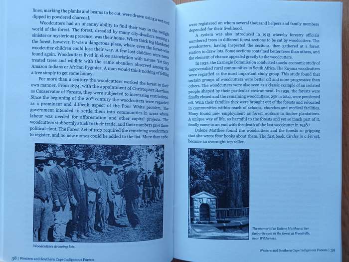 There is honey in the Forest - The history of Forestry in South Africa