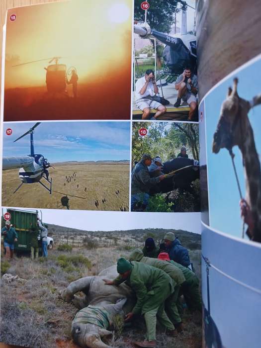 Pilot in the Wild - Flights of Conservation and Survival