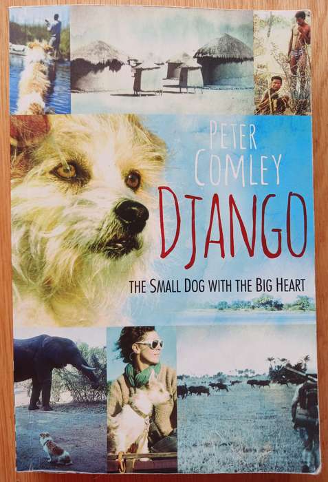 Django - The small dog with the big heart