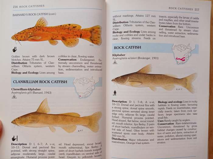 A Complete Guide to the Freshwater Fishes of Southern Africa