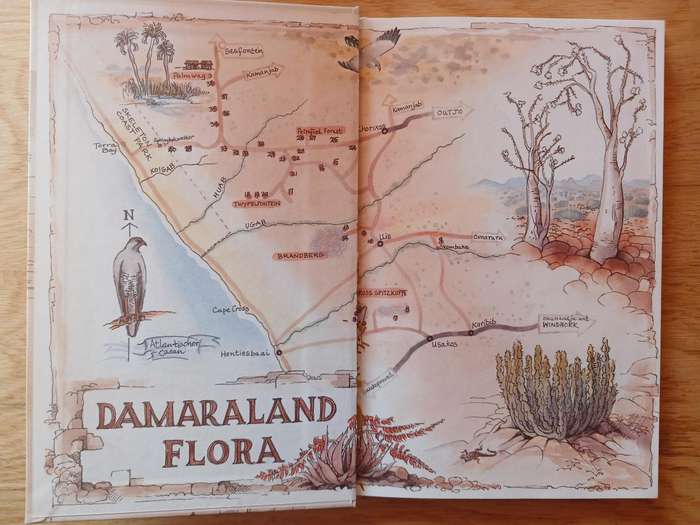 Damaraland Flora - Spitzkoppe, Brandberg, Twyfelfontein