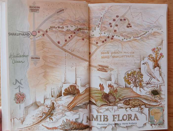 Namib Flora - Von Swakopmund zur grossen Welwitchia ber Goanikontes