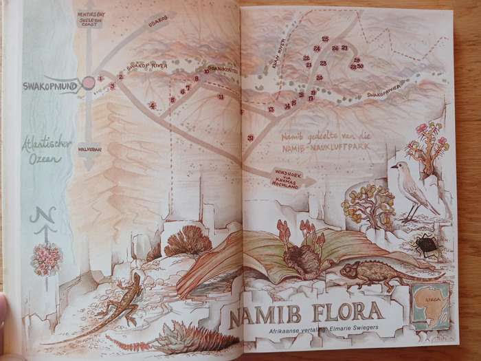 Namib Flora - Swakopmund na die groot Welwitschia via Goanikontes