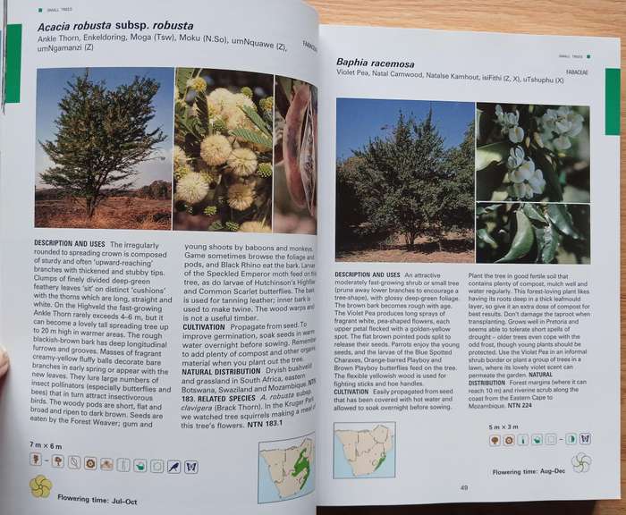 Creative Gardening with Indigenous Plants - A South African Guide