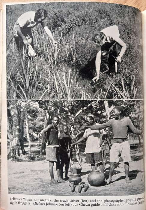 I drank the Zambezi by Arthur Overidge
