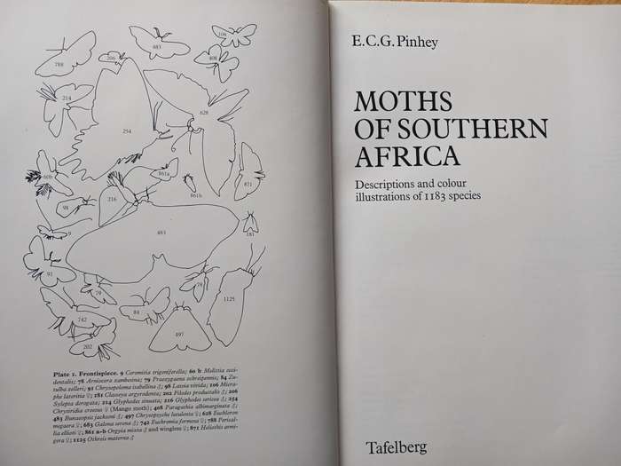 Moths of Southern Africa by E.C.G. Pinhey