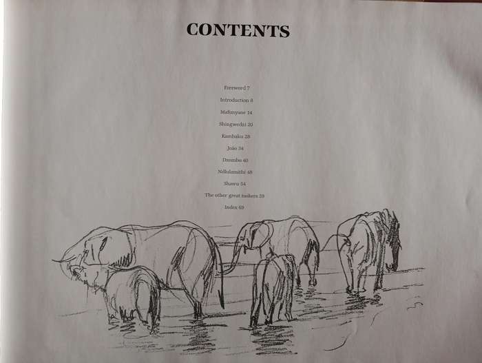 The Magnificent Seven and other great tuskers of the Kruger National Park