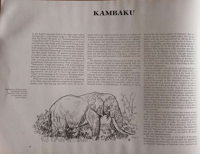 The Magnificent Seven and other great tuskers of the Kruger National Park