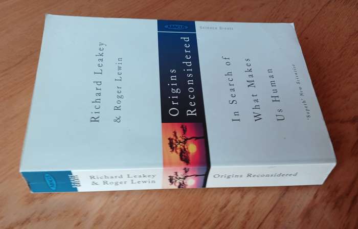 Origins reconsidered - In search of what makes us human