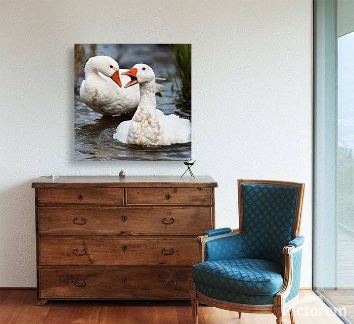 Limited Edition "Hayslope Geese" Canvas Print (800 x 800mm)