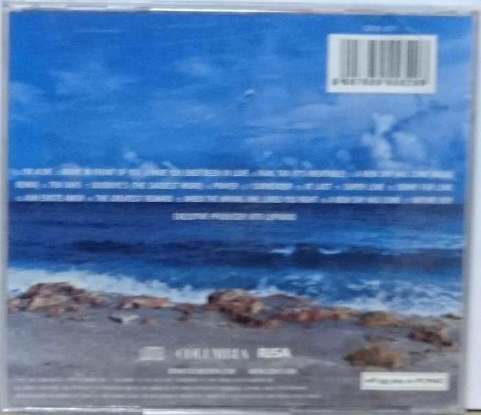 Celine Dion A New Day Has Come CD