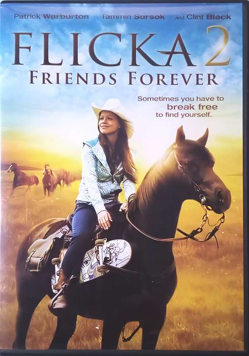 FLICKA 2 Friends Forever DVD