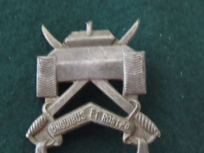 Belgium - Para Commando Recon Squadron Badge