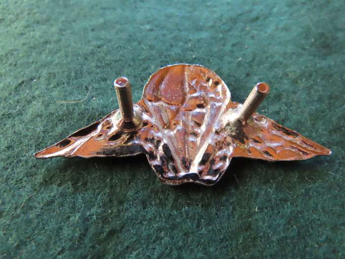 Homelands -Ciskei - Border War - Parachute Battalion Chromed for NCO's Beret Badge