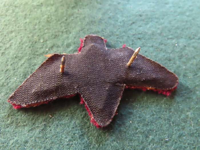 Homelands - Bophutatswana - Border War - Special Force - All ranks except Officers Badge