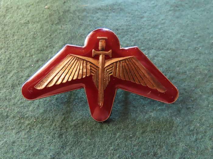 Homelands - Bophutatswana - Border War - Special Force - Lucite Covered Cap Badge