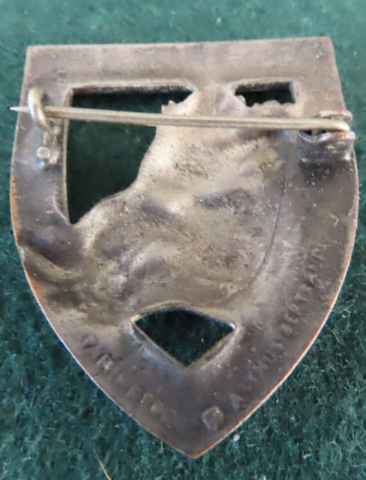France -  30th Dragoons Cap Badge