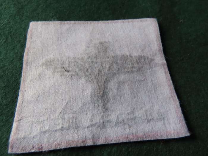South Africa - South African Defence Force - 44 Parachute Regiment Track Suit Badge ?