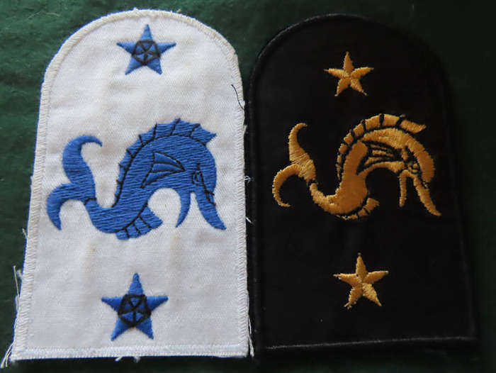 South Africa-South African Navy- Naval Intelligence Winter and Summer Leading Seaman