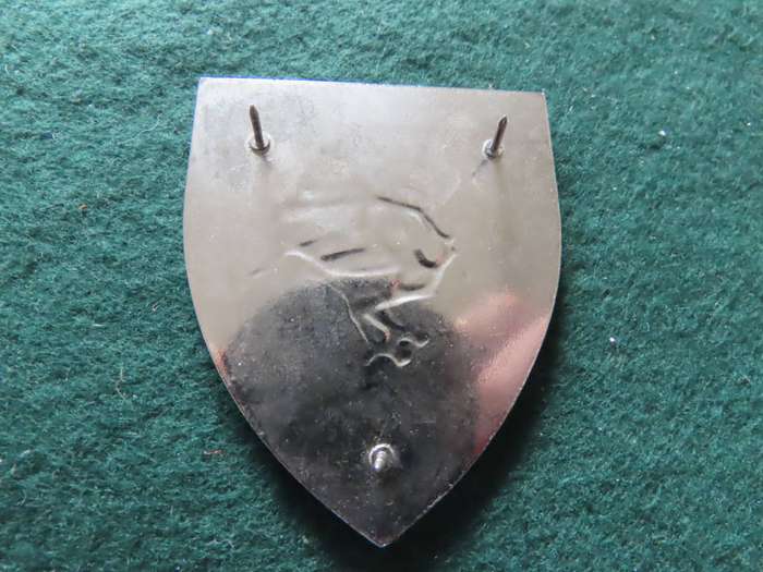 South West Africa - Border War - 201 Battalion Shoulder Flash