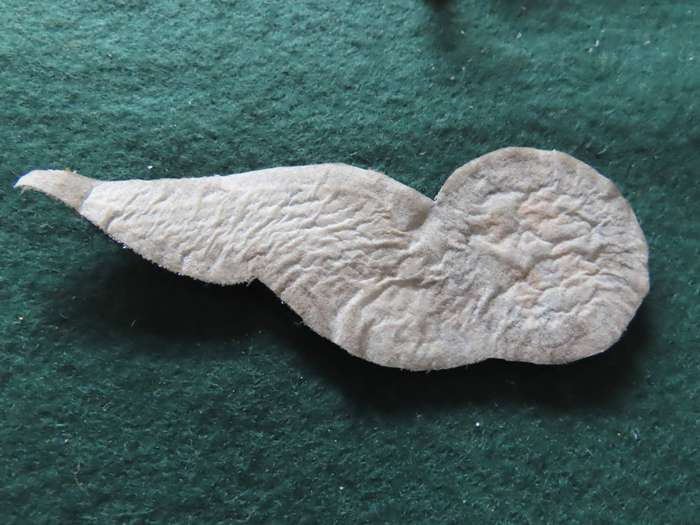 South Africa -S.A. Air Force - Border War - Air Gunner - Cloth Badge