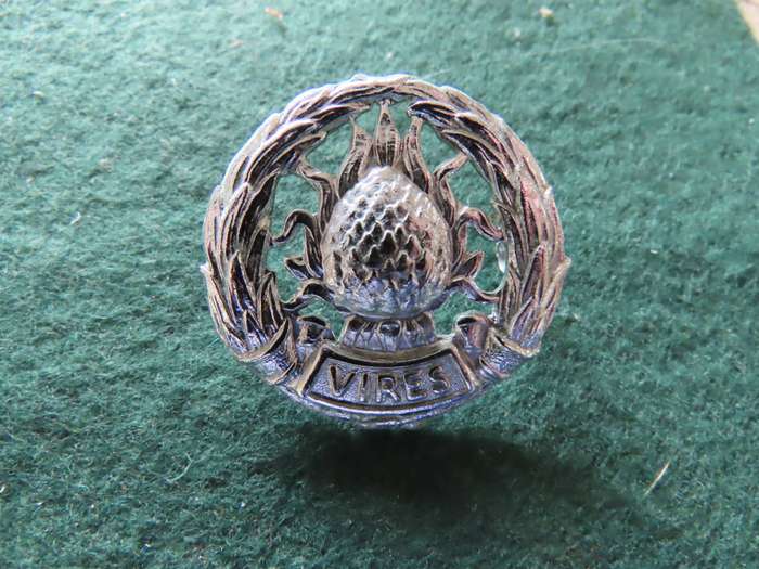 South Africa - Border War -Regiment Boland Cap Badge