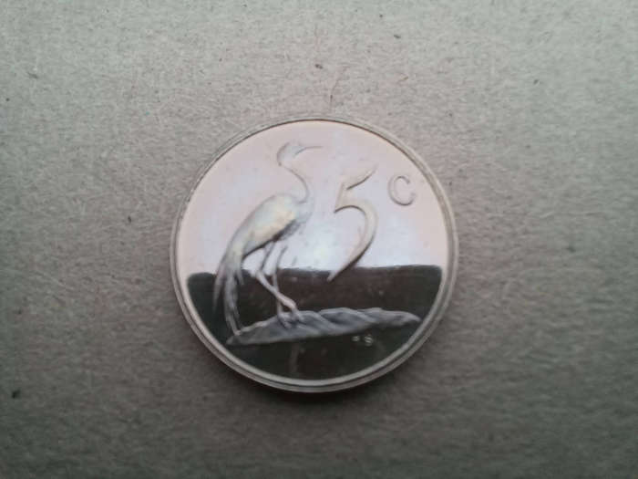 Rare Date 1989 RSA Five Cent in Brilliant Proof!