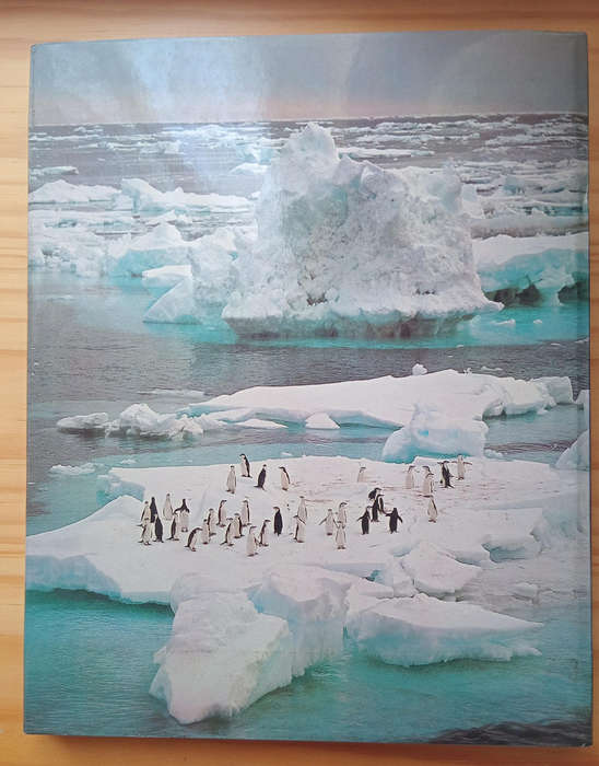 Antarctica- Peter Johnson