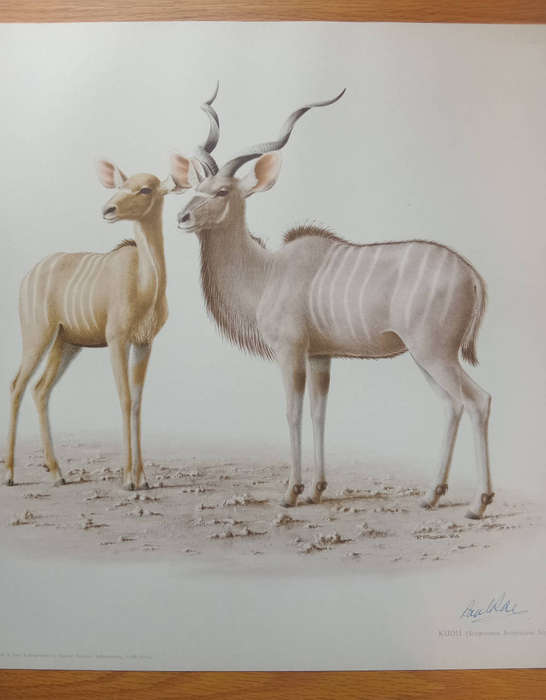 Lithograph signed reproduction - Paul Rose