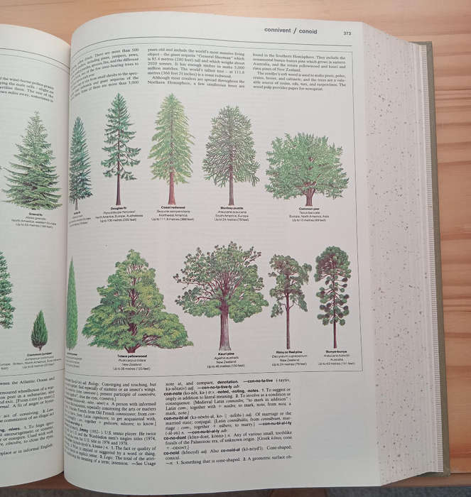 Reader's Digest Great Illustrated Dictionary,  A-Z