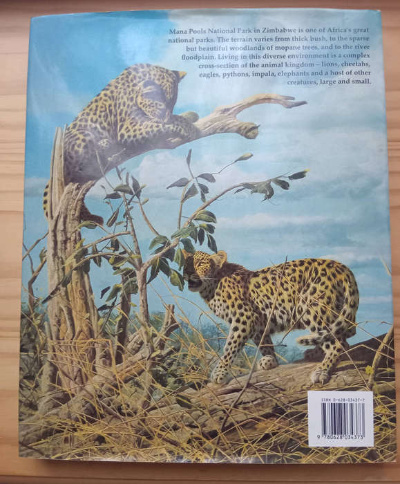 African Seasons- Craig Bone