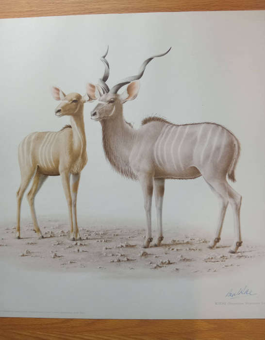 Lithograph signed reproduction - Paul Rose