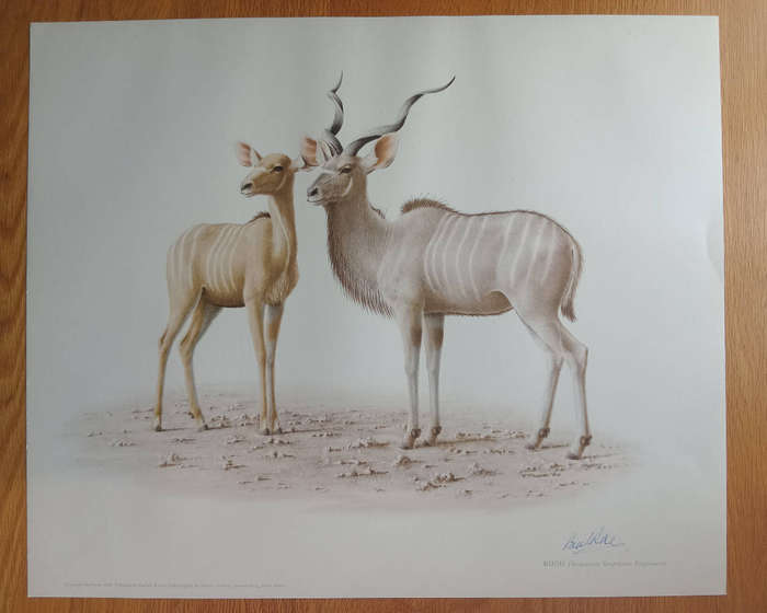 Lithograph signed reproduction - Paul Rose