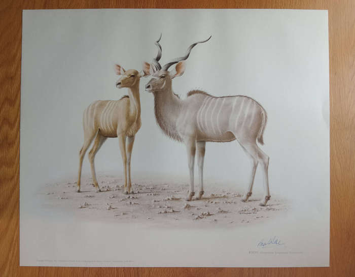 Lithograph signed reproduction - Paul Rose