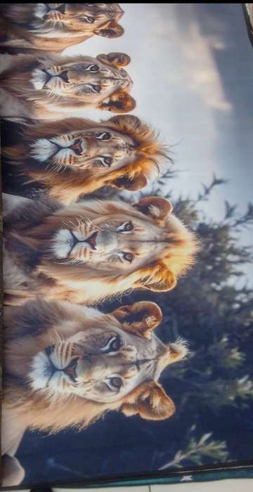 3d carpet