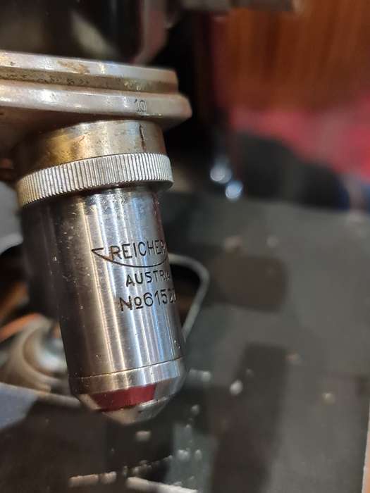 Reichert Traveling Compound Microscope - Circa 1925