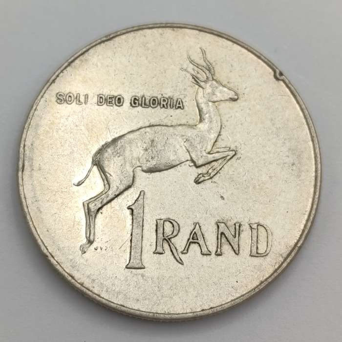 1966 South Africa pregnant Springbok - no penis