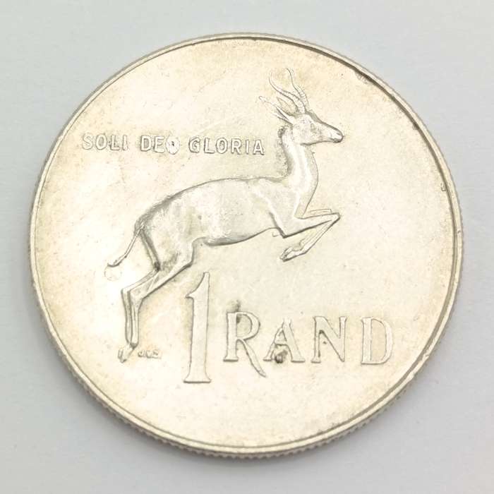 1966  South Africa pregnant springbok - no penis