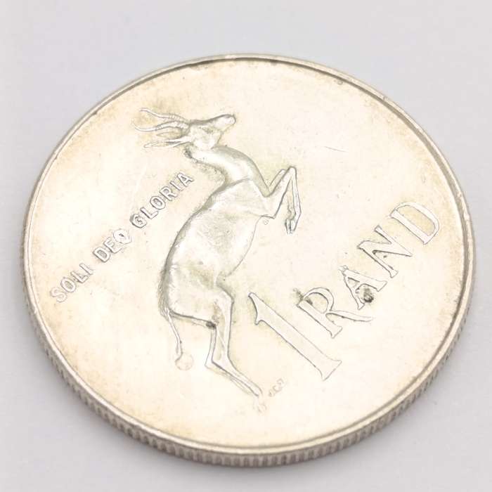 1966  South Africa pregnant springbok - no penis