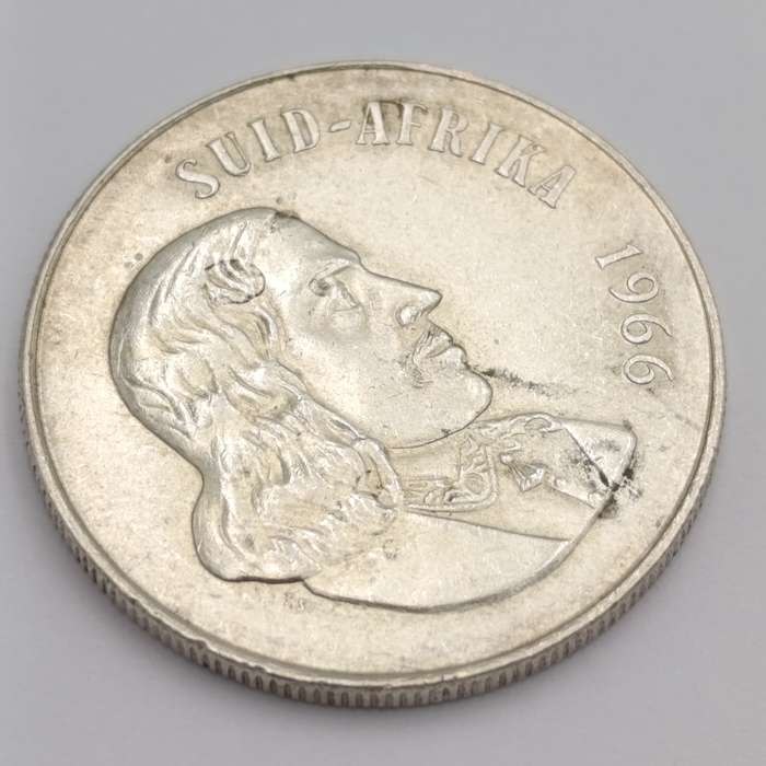 1966  South Africa pregnant springbok - no penis