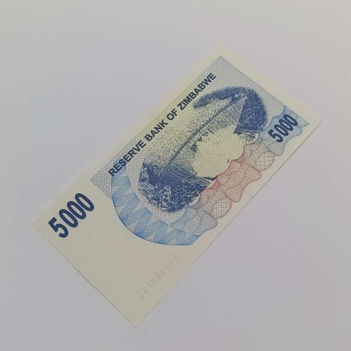 Zimbabwe $5000 Bearer cheques issued 1 Feb 2007 2 uncirculated notes - AA & AB
