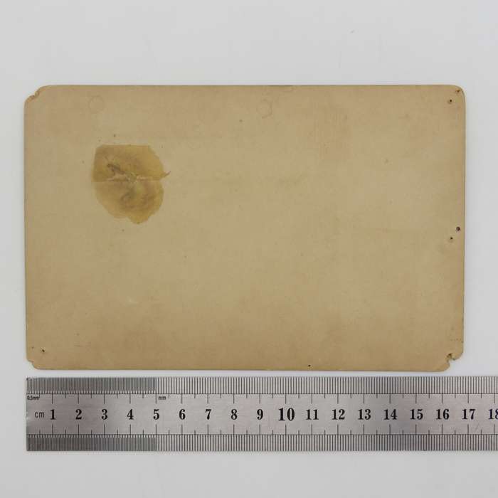 French Collection Universelle early 1900`s nude photo card