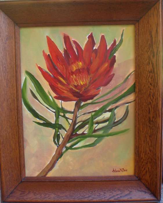 Original Arlene McDade. Deep red protea framed in vintage oak frame. Well known S.African artist.