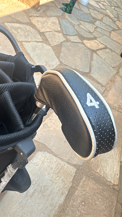 Golf clubs taylermade P790