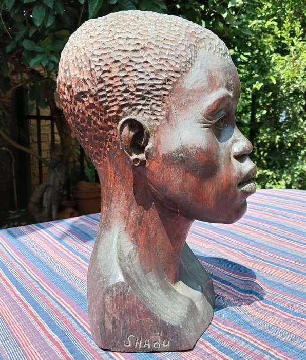 Signed African Shona Man Wooden Bust Large 36cm High It is Life Size and Very Life Like