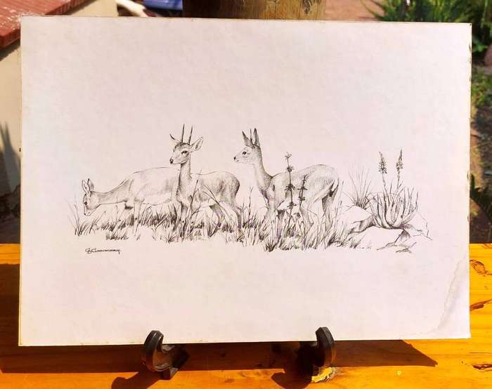 CB Cuningham (SA Artist) Klipspringers Amongst Aloes Lithographic Print
