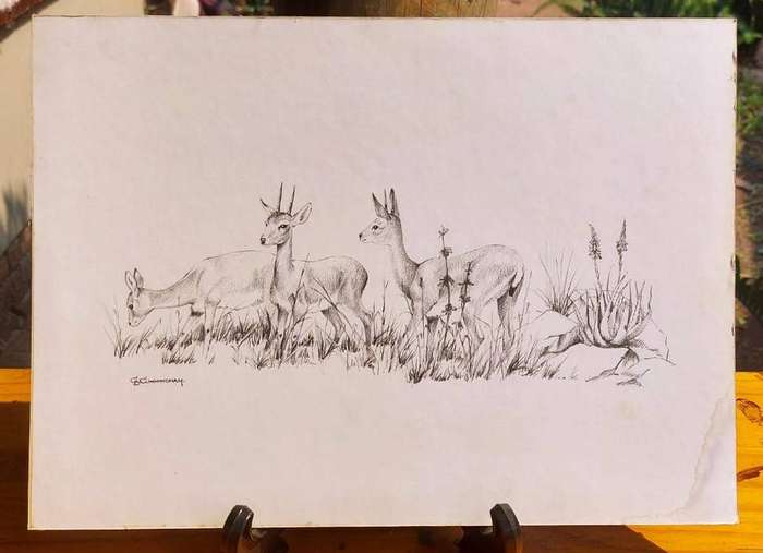 CB Cuningham (SA Artist) Klipspringers Amongst Aloes Lithographic Print
